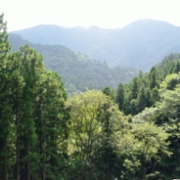 テストタイトルテストタイトルテストタイトル